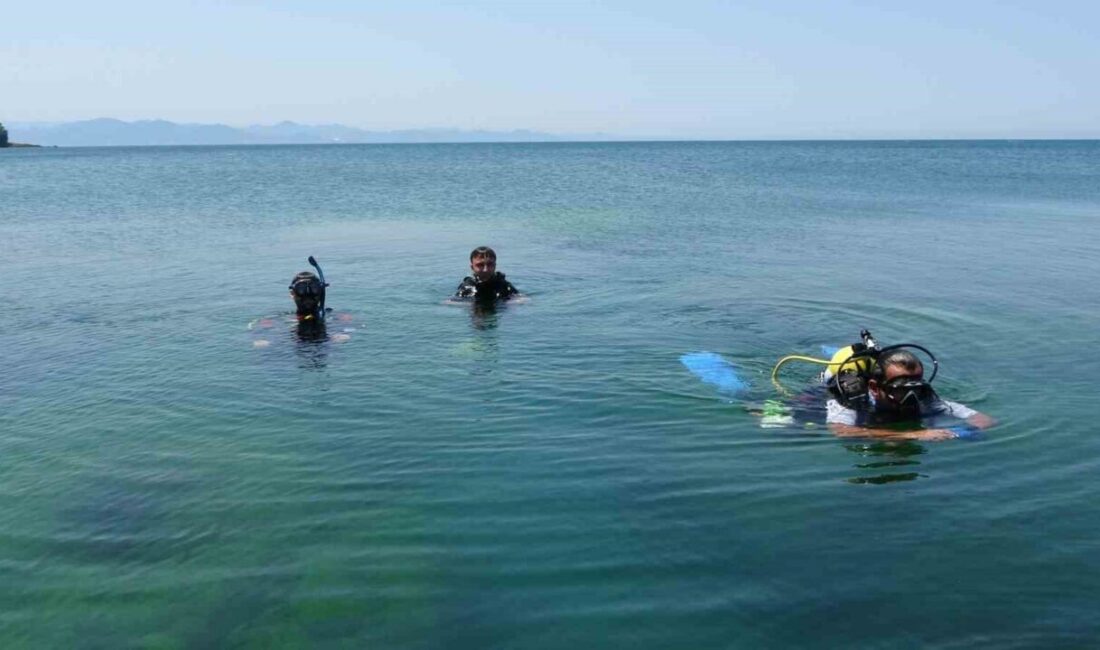 Ordu’nun Perşembe ilçesinde denizin yaklaşık 150 metre açığında 1,5 metre