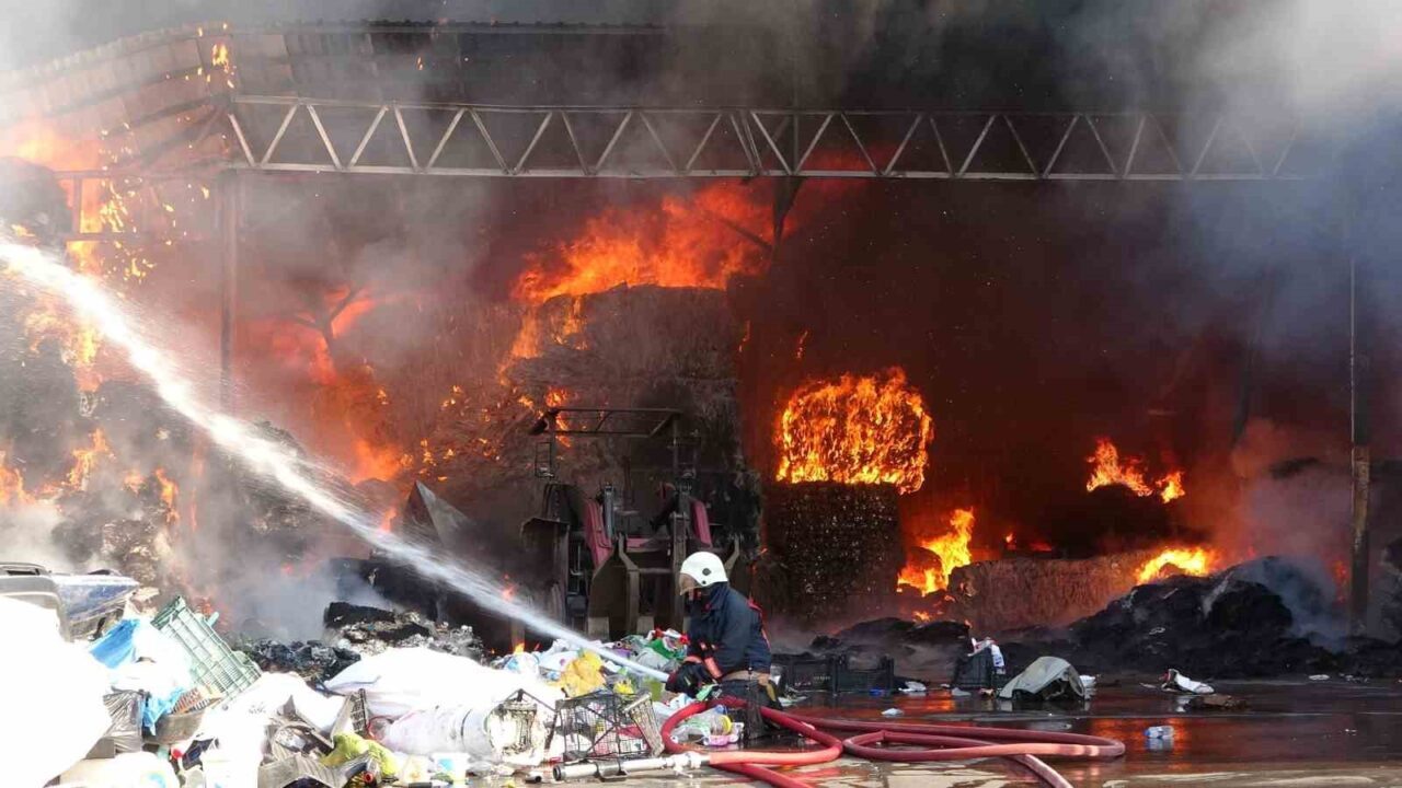 Ordu’da bir geri dönüşüm tesisinde yangın çıktı. Edinilen bilgiye göre,