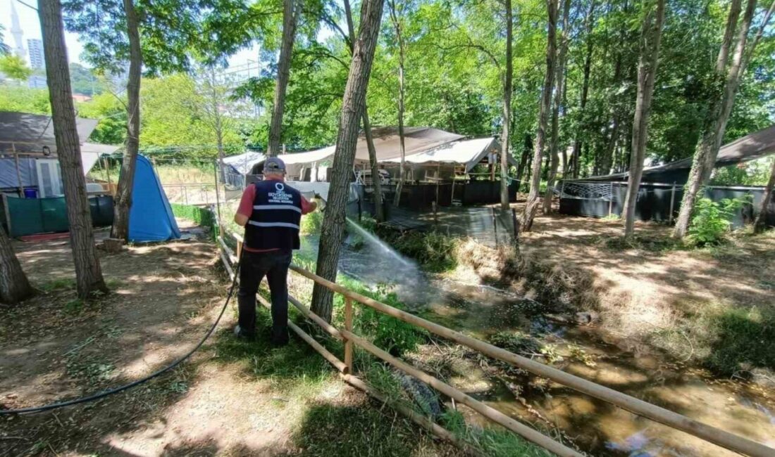 Ordu Büyükşehir Belediyesi tarafından yaz sezonunun sorunsuz geçirilmesi için vektörlere