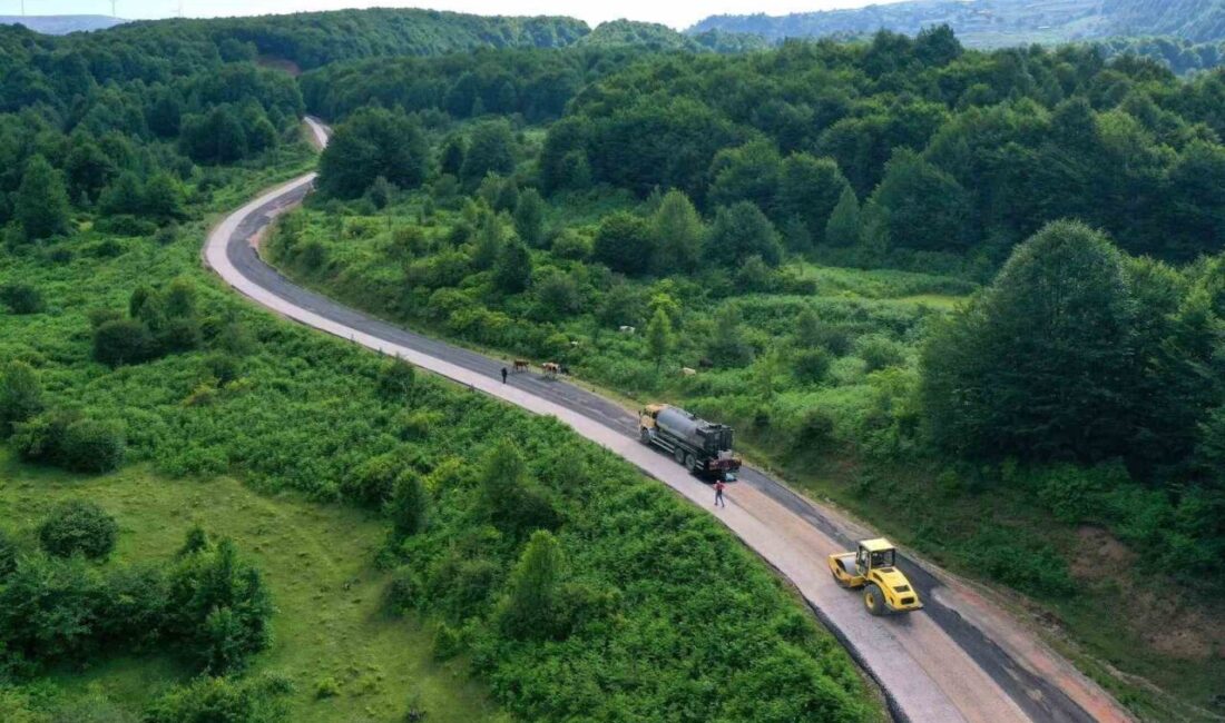 Ordu Büyükşehir Belediyesi, Tokat’a bağlantı sağlayan yolu asfalt konforu ile