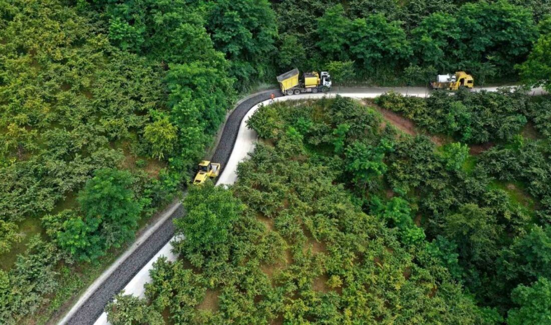 Ordu Büyükşehir Belediyesi’nce ‘sakin şehir’ unvanına sahip Perşembe ilçesinde 5
