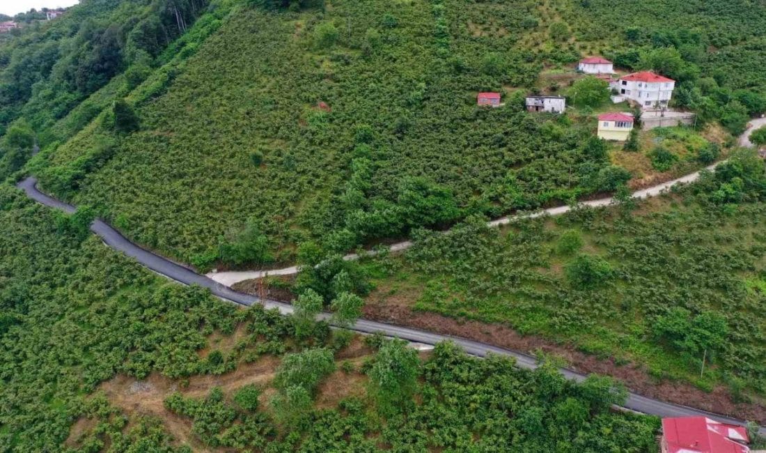 Ordu Büyükşehir Belediyesi, şehrin turizm destinasyonlarından biri olan Boztepe’ye ulaşım