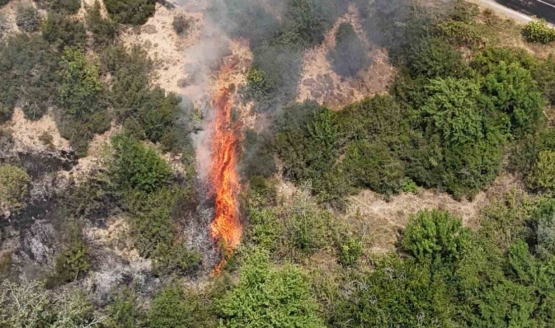 Orman Genel Müdürlüğü bir hafta sürecek olan sıcak haıva dalgası