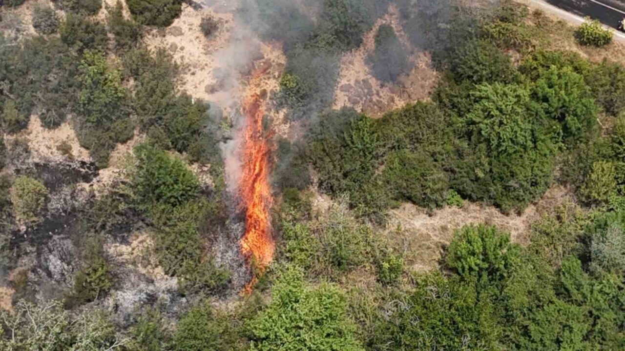 Orman Genel Müdürlüğü bir hafta sürecek olan sıcak haıva dalgası