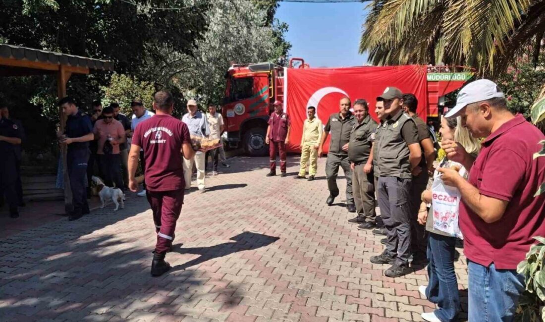 Eskişehir’in Seyitgazi ilçesinde başlayarak Afyonkarahisar sınırlarına kadar ilerleyen orman yangınında