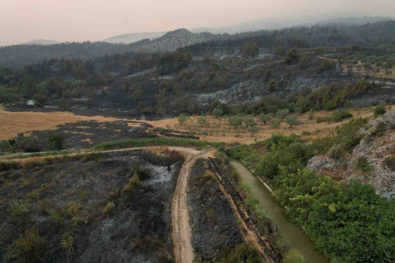 Sakarya’nın Geyve ilçesinde dün ormanlık alanda başlayıp yerleşim yerine sıçrayan