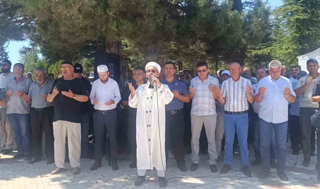 Eskişehir ve Afyonkarahisar sınırında çıkan orman yangınlarında şehit olan 5