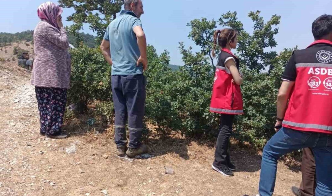 Bilecik’te Demirköy, Kurtköy ve Hamidiye köyleri arasında çıkan orman yangını