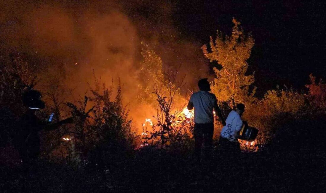 Karabük’te alevlere teslim olan ve yerleşim yerlerine sıçrayan yangında bir