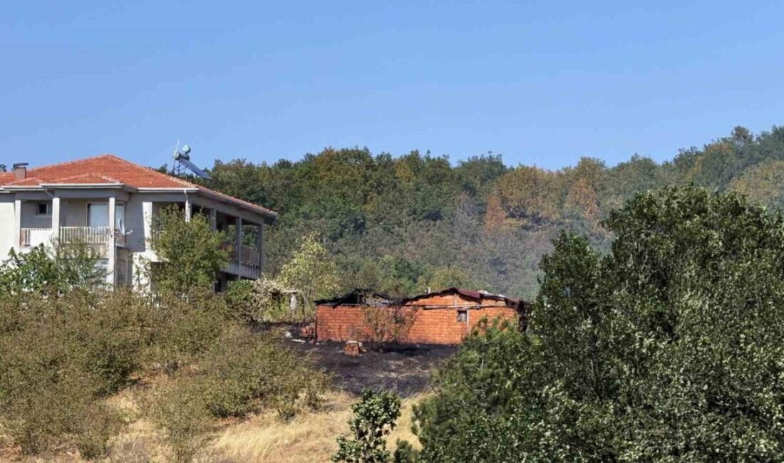 Düzce-Sakarya sınırında ormanlık alanda çıkan yangına havadan ve karadan müdahale