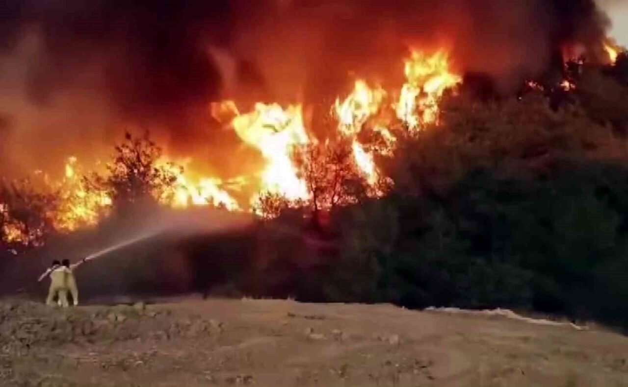 Sakarya’nın Geyve ilçesinde çıkan ve rüzgarın etkisiyle Bilecik sınırlarına da