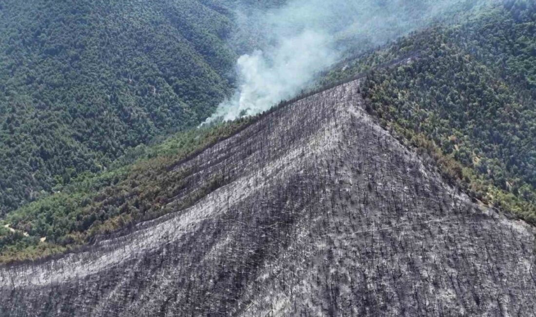 Karabük’te yaklaşık 18 saatte kontrol altına alınan orman yangınında zarar