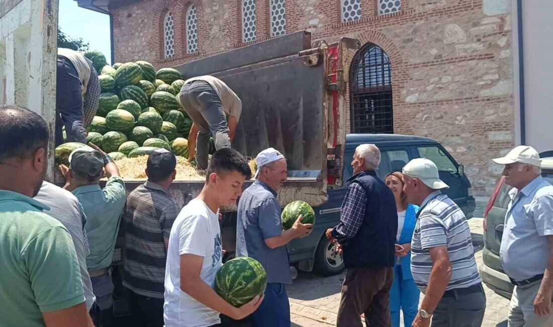 Bilecik’te geçtiğimiz ay çıkan orman yangınında Osmaneli ilçesine bağlı Soğucakpınar