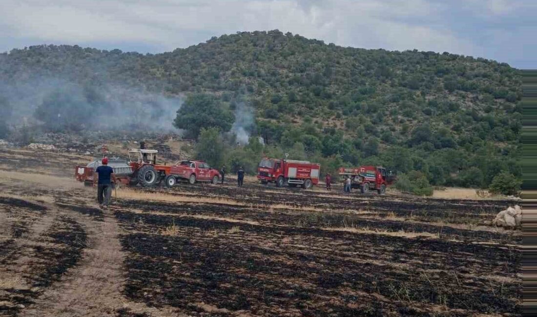 Konya’nın Beyşehir ilçesinde tarlada yakılan anızlardan yükselen alevler kontrolden çıkarak