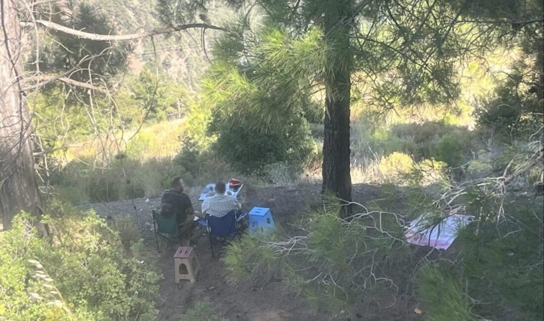 Mersin’in Erdemli ilçesinde ormanlık alanda yasak olmasına rağmen piknik yapan