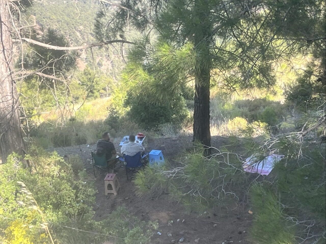 Mersin’in Erdemli ilçesinde ormanlık alanda yasak olmasına rağmen piknik yapan