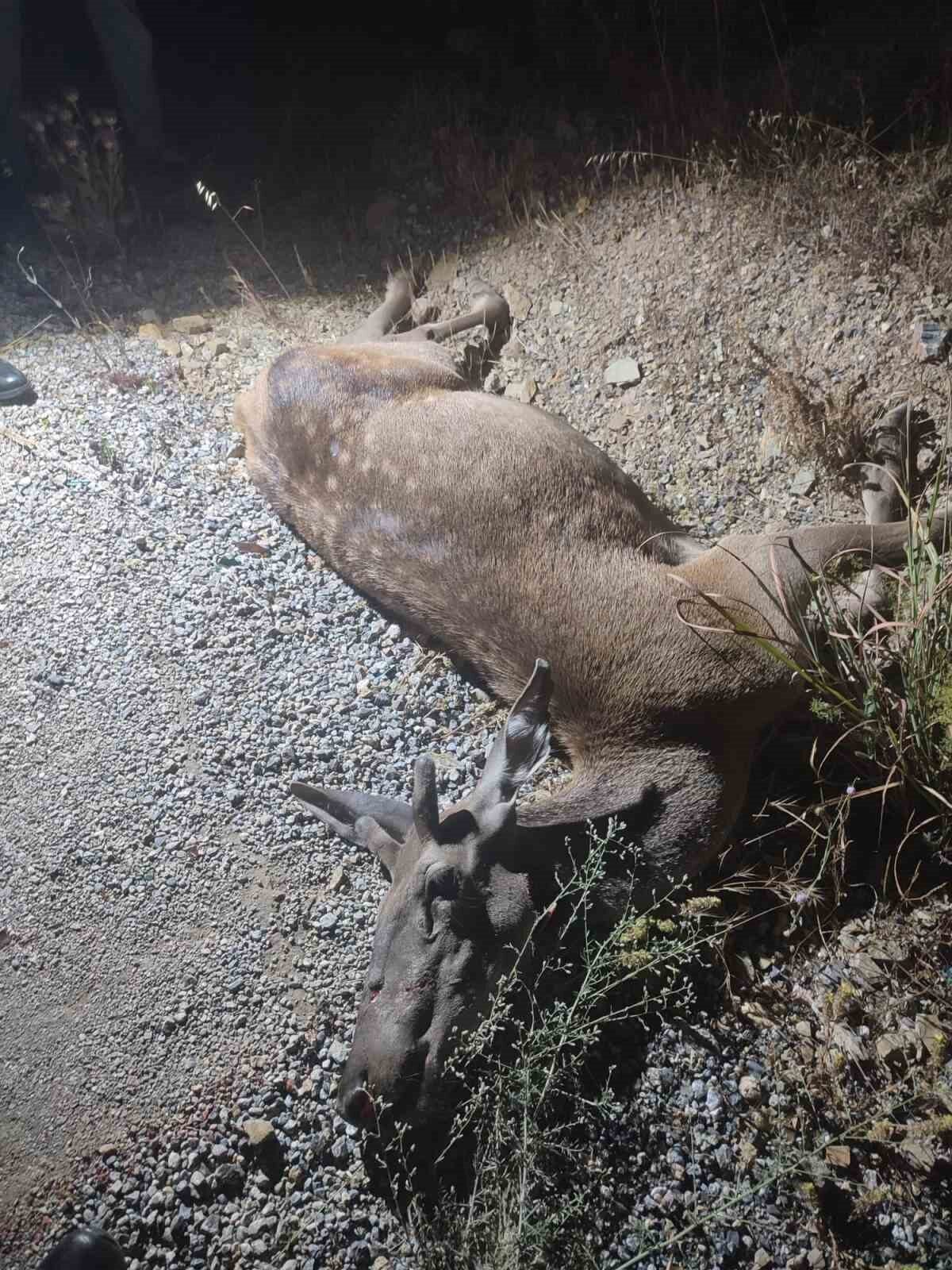 Bursa’nın İnegöl ilçesinde ormanlık alanda yaşanan üzücü bir olayda, yola