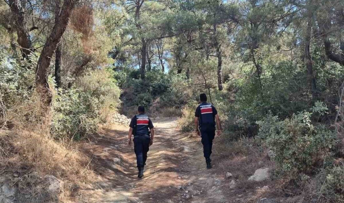 Aydın Valiliği’nin orman yangınlarını önlemeye yönelik aldığı tedbirler kapsamında Aydın