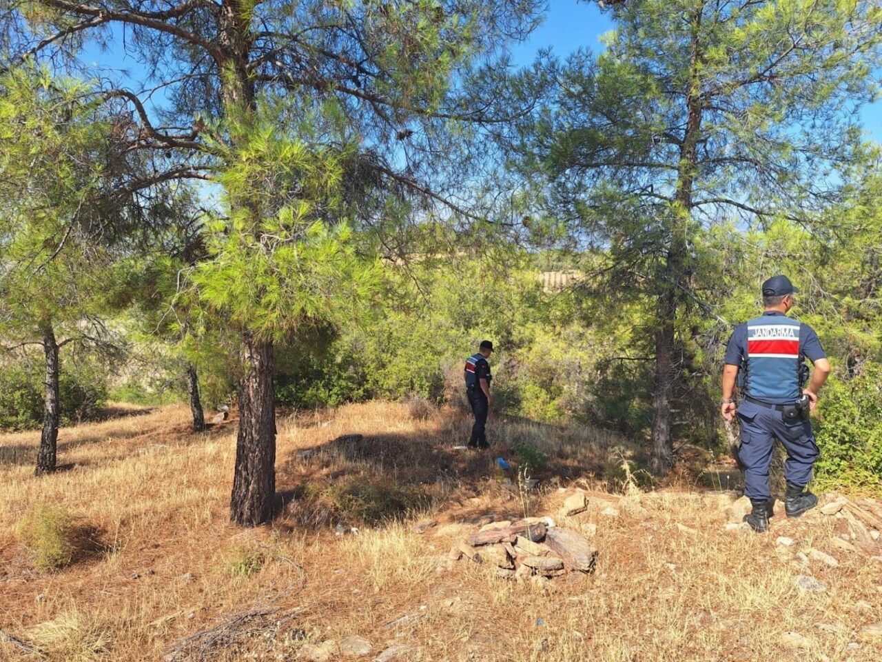 Aydın İl Jandarma Komutanlığı tarafından 1 Haziran-28 Temmuz 2025 tarihleri