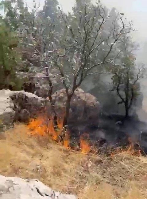 Adıyaman’da, ormanlık alan içerisinde meydana gelen yangın söndürüldü. Edinilen bilgilere