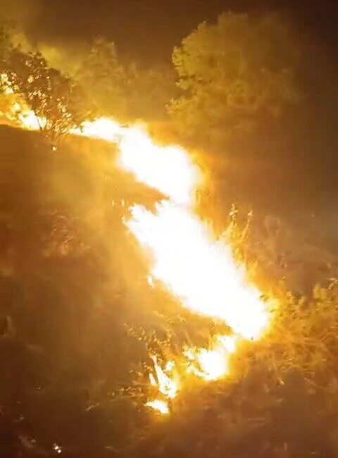 Adıyaman’da, ormanlık alanda çıkan yangın itfaiye ekiplerince müdahale edilerek söndürüldü.