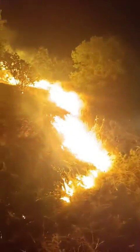 Adıyaman’da, ormanlık alanda çıkan yangın itfaiye ekiplerince müdahale edilerek söndürüldü.