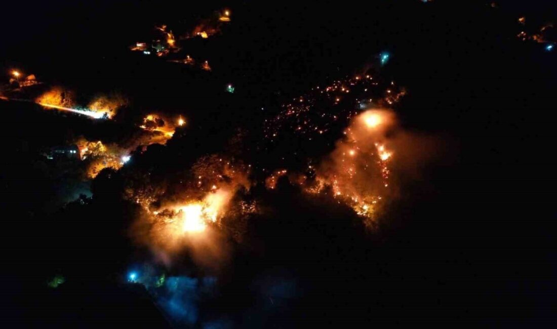 Sakarya’nın Akyazı ilçesinde ormanlık alanda çıkan yangın, ekiplerin ve vatandaşların