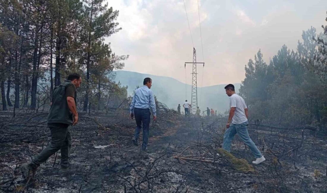 Karabük’ün Ovacık ilçesinde ormanlık alanda çıkan örtü yangını kontrol altına