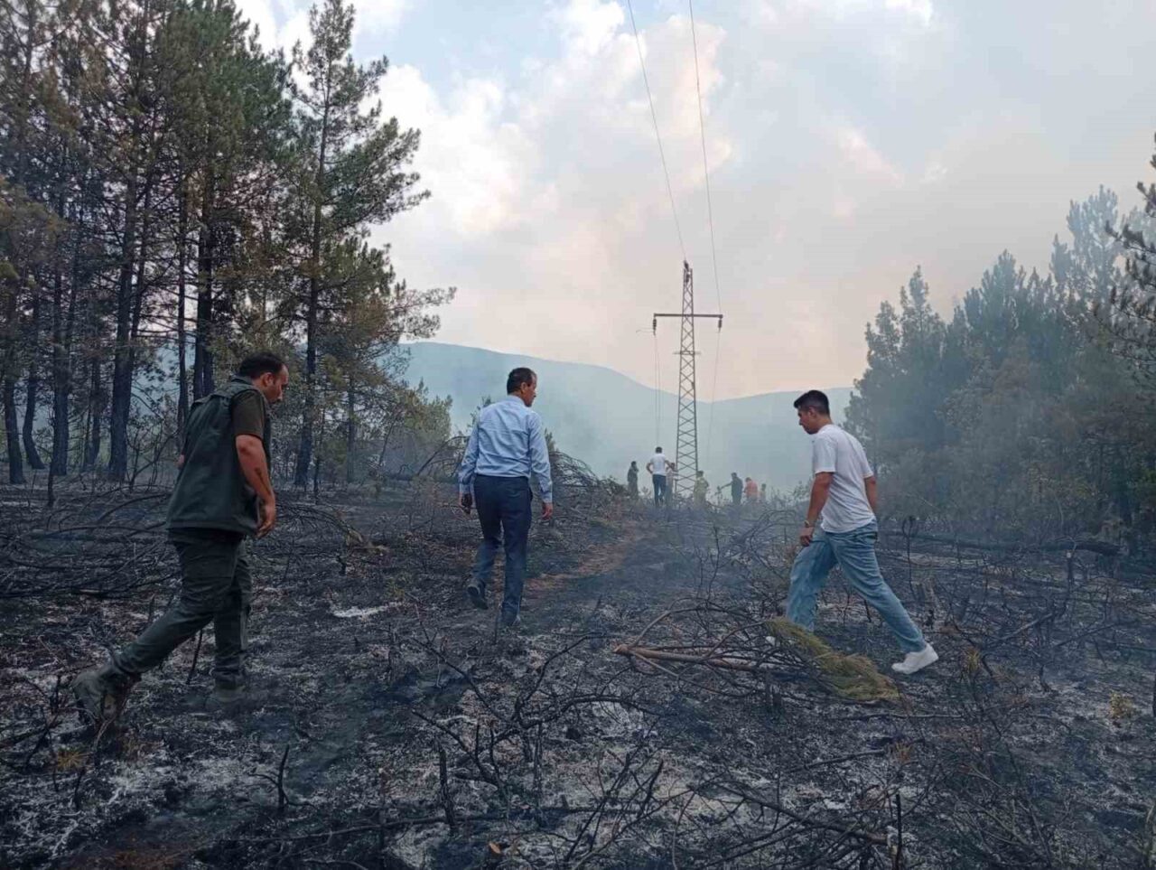 Karabük’ün Ovacık ilçesinde ormanlık alanda çıkan örtü yangını kontrol altına
