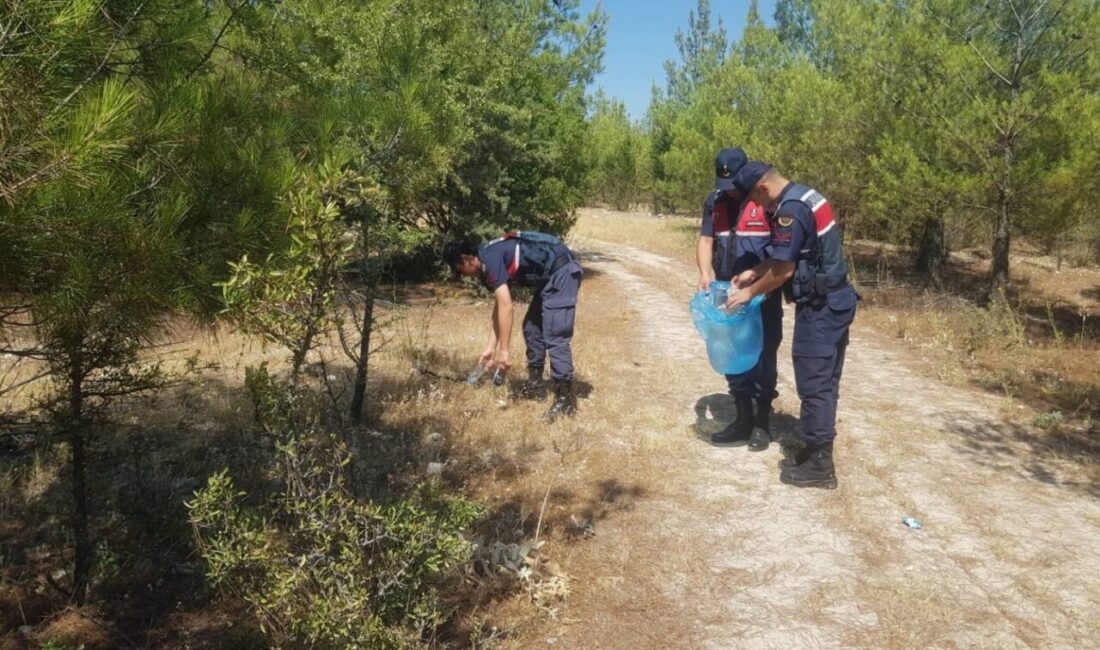 Aydın’da jandarma ekipleri tarafından ormanlık alanlardaki denetimler artırıldı. Aydın Valiliğinin