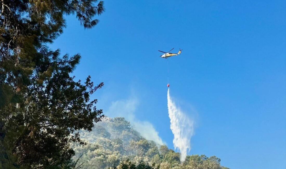 Muğla’nın Ortaca ilçesine bağlı Sarıgerme Mahallesi’nde sabah saatlerinde çıkan orman