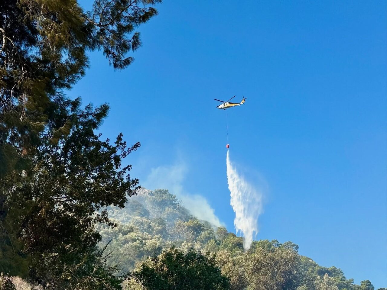Muğla’nın Ortaca ilçesine bağlı Sarıgerme Mahallesi’nde sabah saatlerinde çıkan orman