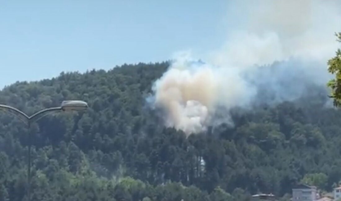 Zonguldak’ın Devrek ilçesinde ormanlık alanda çıkan örtü yangını, ekiplerin hızlı