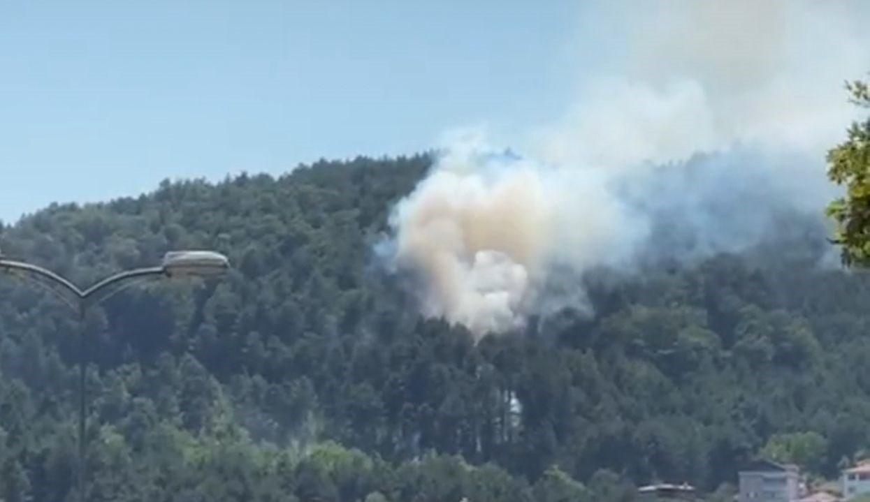 Zonguldak’ın Devrek ilçesinde ormanlık alanda çıkan örtü yangını, ekiplerin hızlı