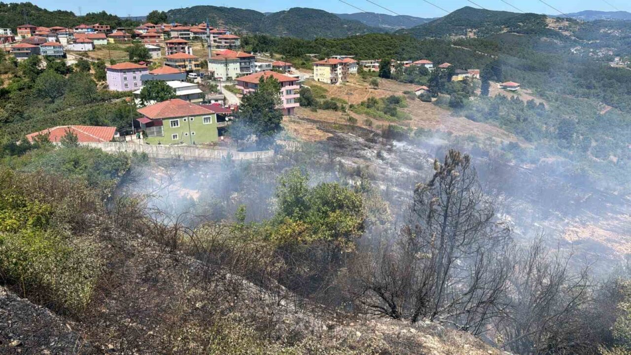 Zonguldak’ın Kdz Ereğli’ de yer alan OSB içinde bulunan ormanlık