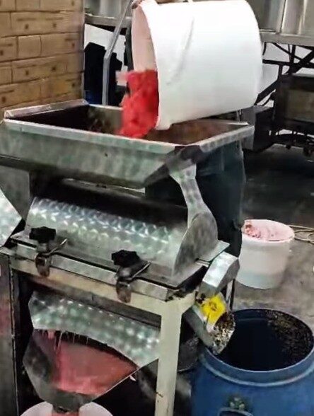 GE çalışmalarıyla ilçenin bereketli topraklarında yetişen karpuzlar katma değerli ürünlere