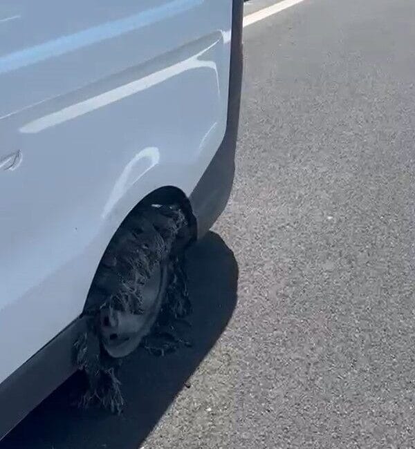 Osmangazi Köprüsü’nde peş peşe giden iki aracın lastikleri patladı. Alınan