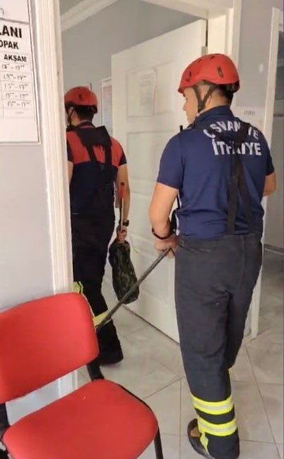 Osmaniye’de bir aile sağlığı merkezine giren yılan, itfaiye ekiplerinin başarılı