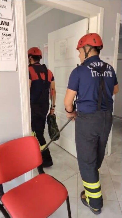 Osmaniye’de bir aile sağlığı merkezine giren yılan, itfaiye ekiplerinin başarılı