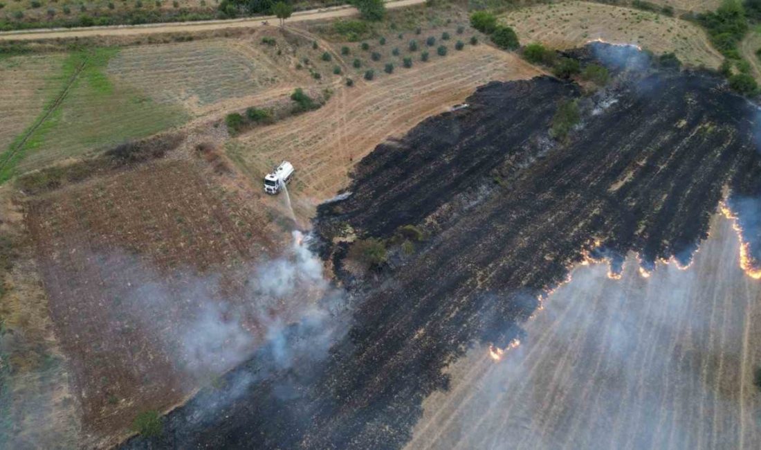 Osmaniye’de çıkan anız yangını vatandaşların dikkati ve itfaiye ekiplerinin hızlı