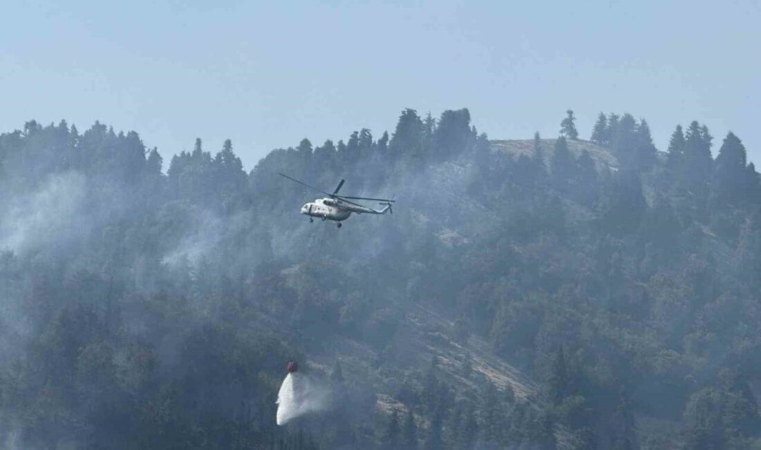 Osmaniye’nin Düziçi ilçesinde çıkan orman yangını, ekiplerin havadan ve karadan