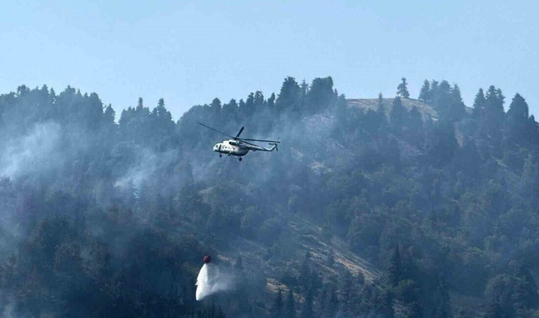 Osmaniye’nin Düziçi ilçesinde başlayan orman yangınına ekiplerin müdahalesi havadan ve