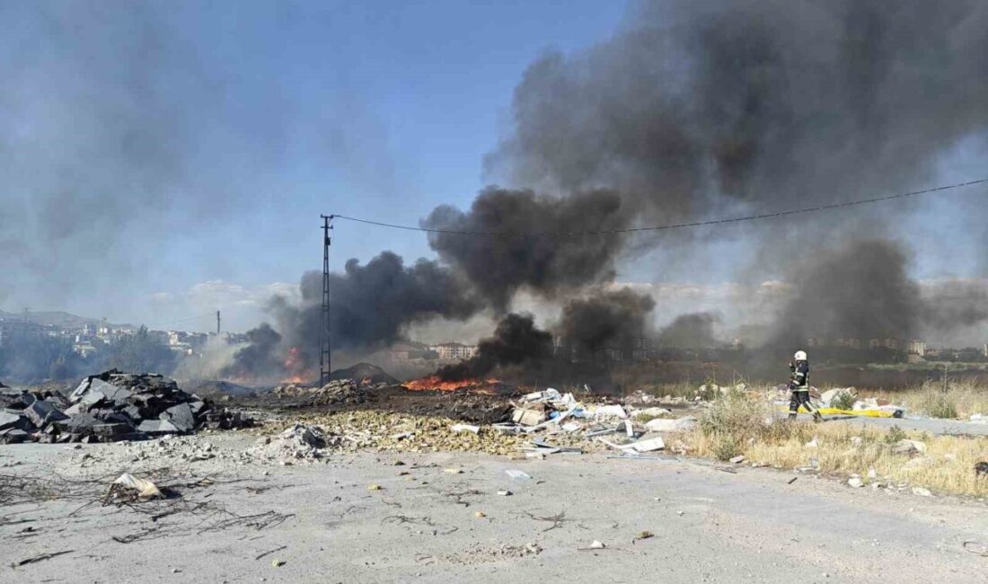 Tüketiciler Birliği Genel Başkanı Mahmut Şahin, belediye sınırlarında kuru ot
