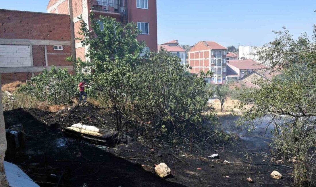 Bilecik’in Söğüt ilçesinde boş arazide henüz bilinmeyen nedenle ot yangını