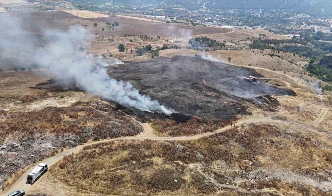 Karabük’ün Safranbolu ilçesinde çıkan ot yangını itfaiye ekiplerince büyümeden söndürülürken,