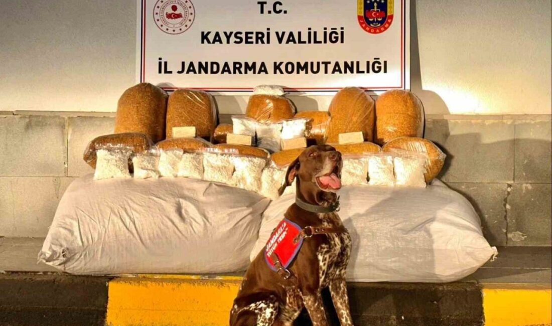 Kayseri’de jandarma ekipleri tarafından yapılan çalışmalarda bir otobüste 450 kilogram