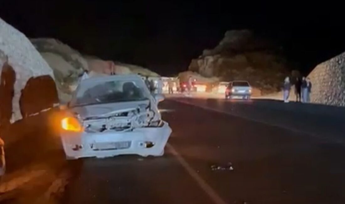 Mersin’in Erdemli ilçesinde otomobil domuza çarptı, emniyet kemerleri takılı olan