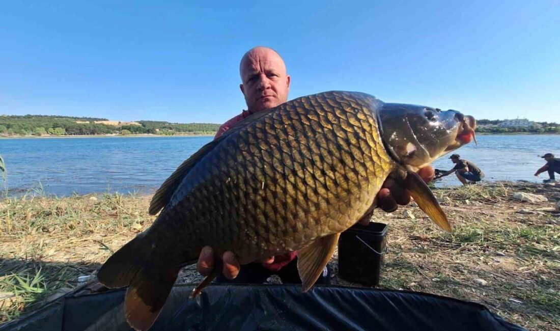 Bilecik’te arkadaşları ile birlikte yakaladıkları ve en büyüğü 13 kilo
