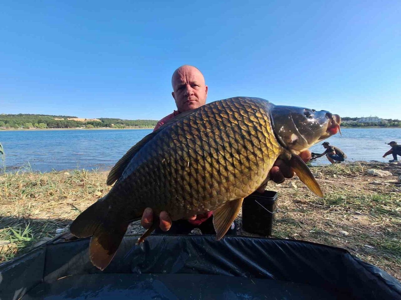 Bilecik’te arkadaşları ile birlikte yakaladıkları ve en büyüğü 13 kilo