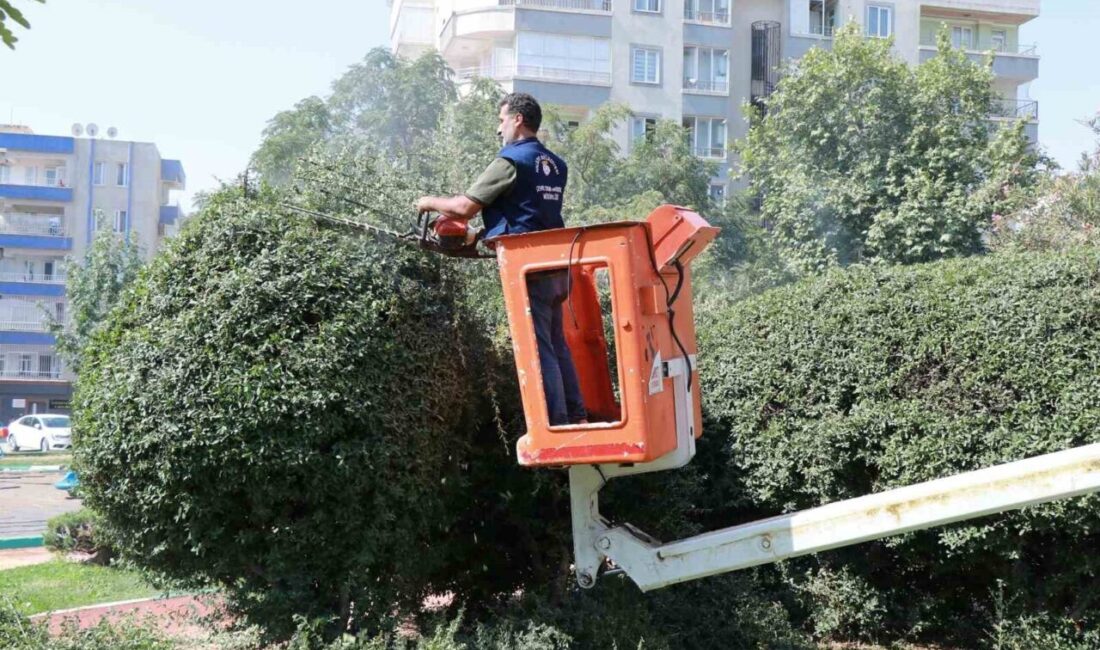 Haliliye Belediyesi ilçe genelinde yürüttüğü peyzaj düzenlemeleri ve park yenileme